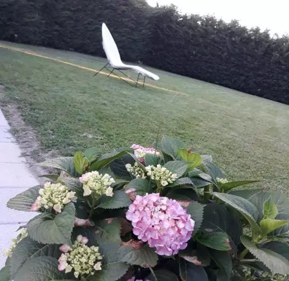 Aamiaismajoitus (B&B) Acero Rosso