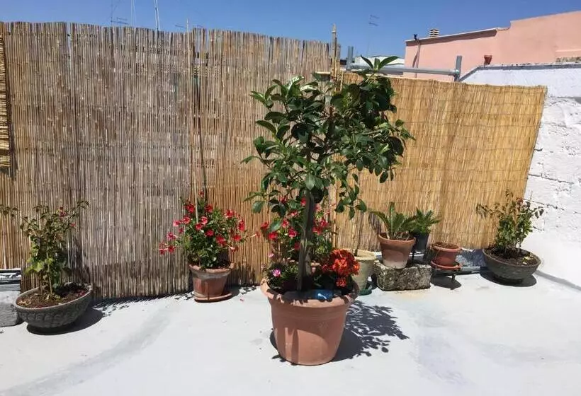 Aamiaismajoitus (B&B) Le Stanze Di Cortès