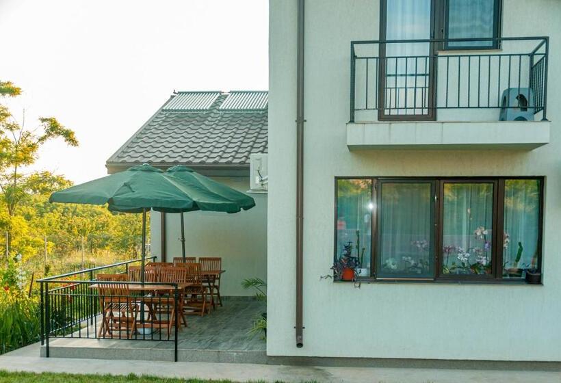 Отель Pensiunea Agroturistica Valentino