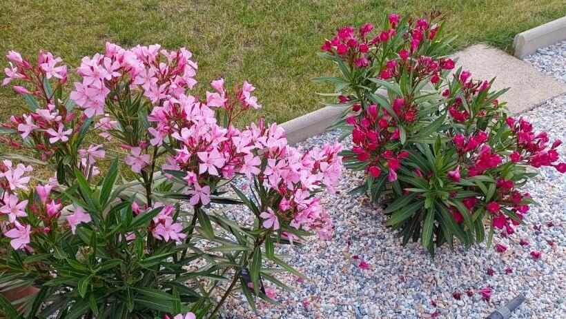 膳宿费 Chambre D Hôte La Paisible