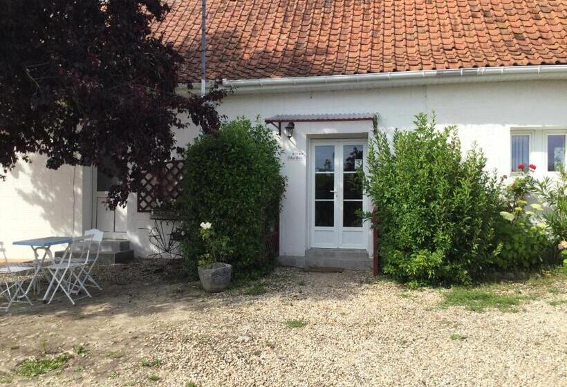 פנסיון Gîtes Les Amis De L Authie