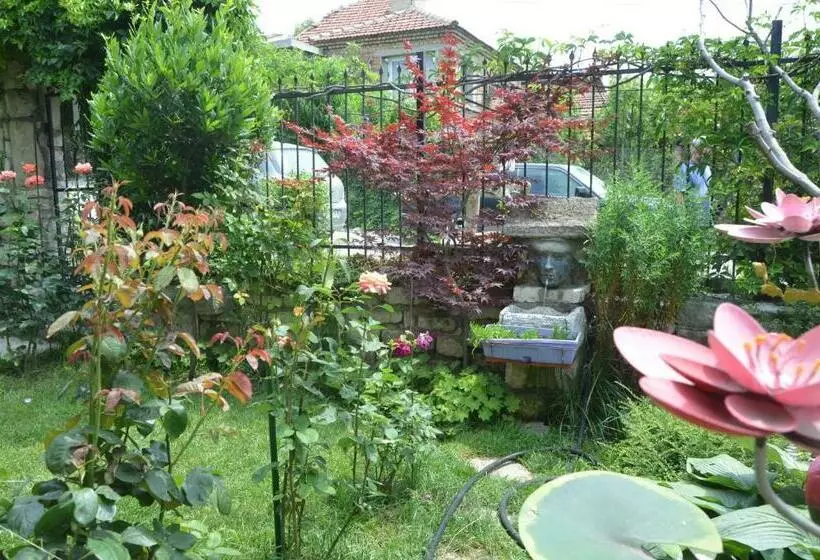 ペンション Guest House Amazonia