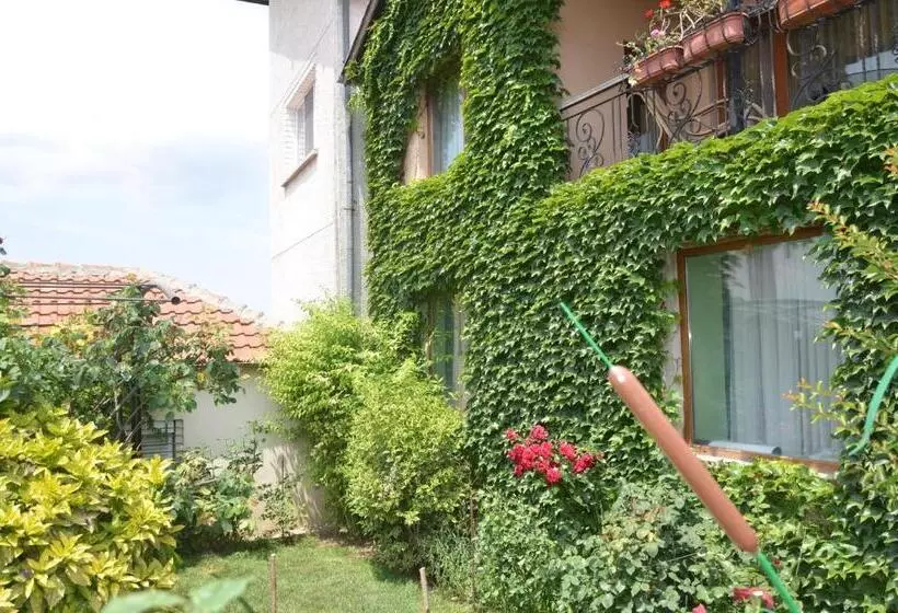 ペンション Guest House Amazonia