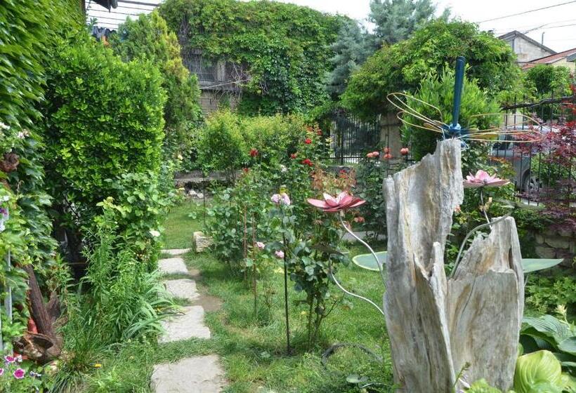 پانسیون Guest House Amazonia