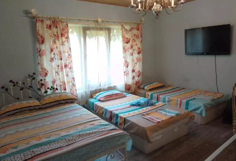 ペンション Guest House Amazonia