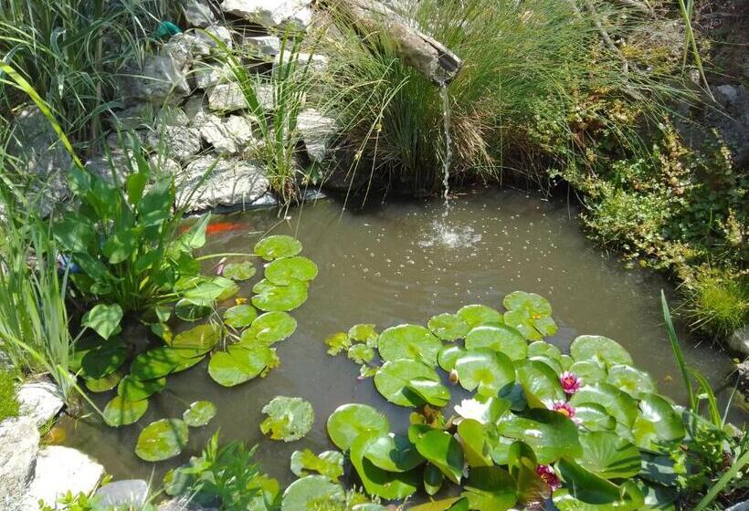 پانسیون Guest House Amazonia