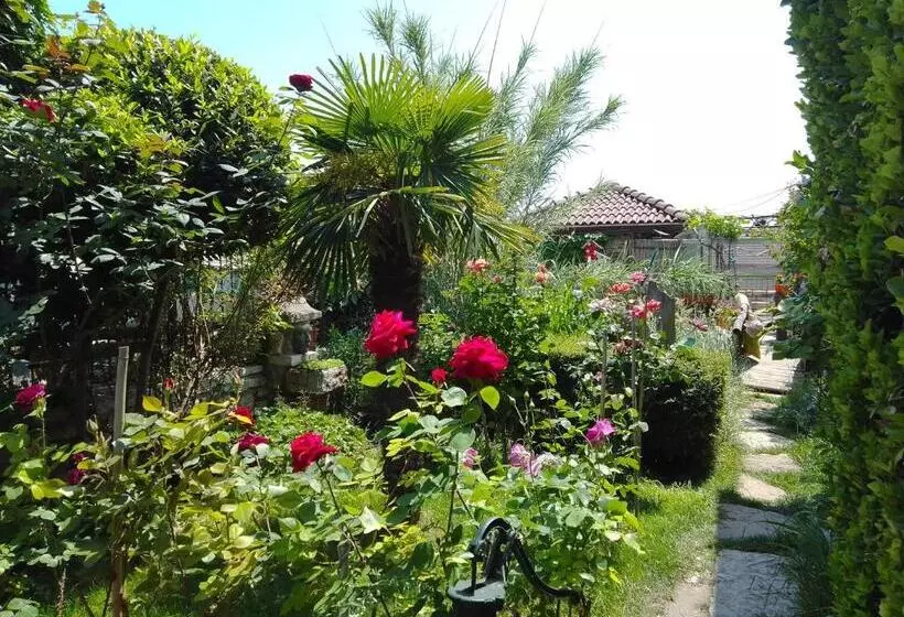 ペンション Guest House Amazonia