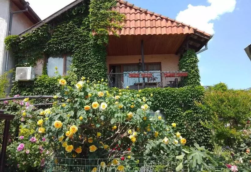 ペンション Guest House Amazonia