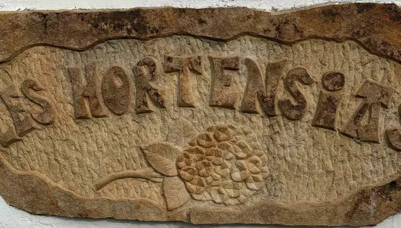 Villa Les Hortensias B&b