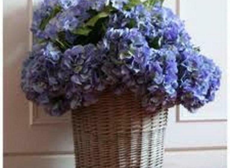 Villa Les Hortensias B&b