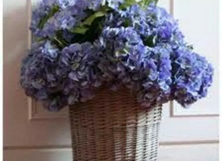 Villa Les Hortensias B&b