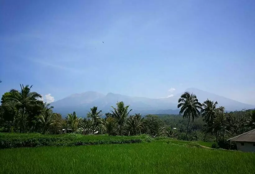 Ariata Arya Hostel