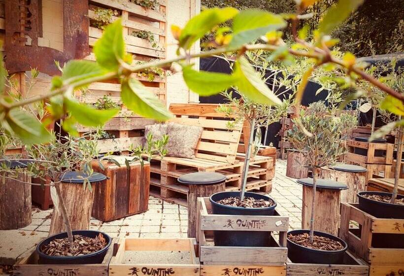 تختخواب و صبحانه Bosbaar