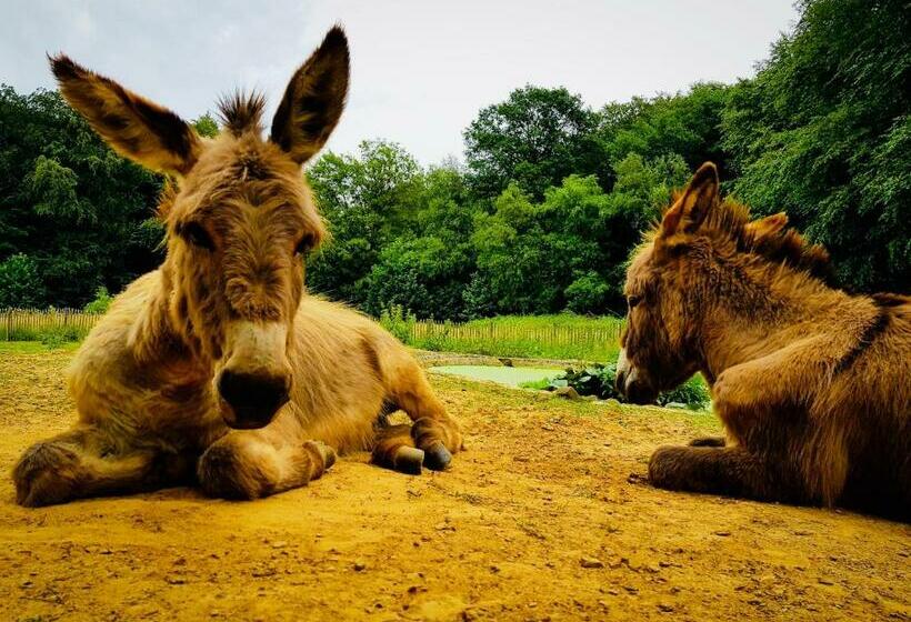 تختخواب و صبحانه Bosbaar