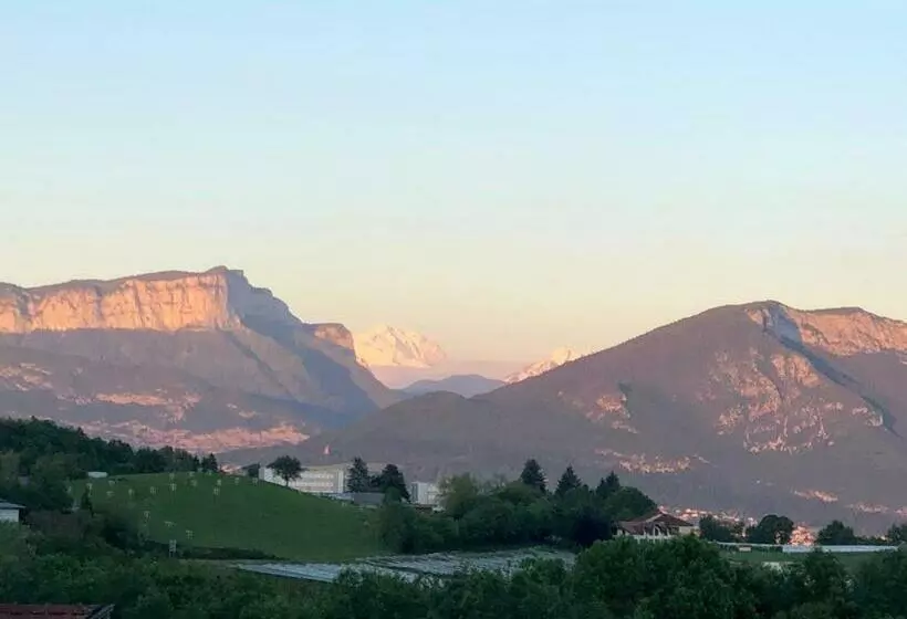 ベッドアンドブレックファースト Falhappy House