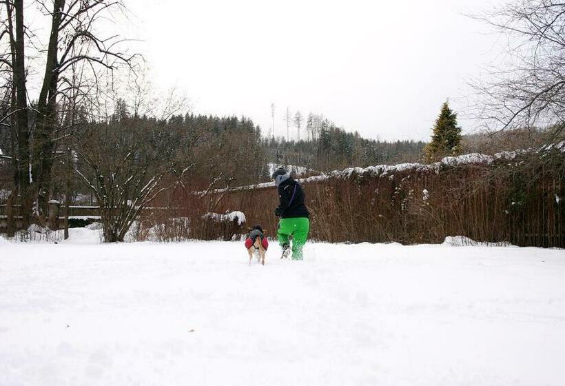 مبيت وإفطار Glögglhof