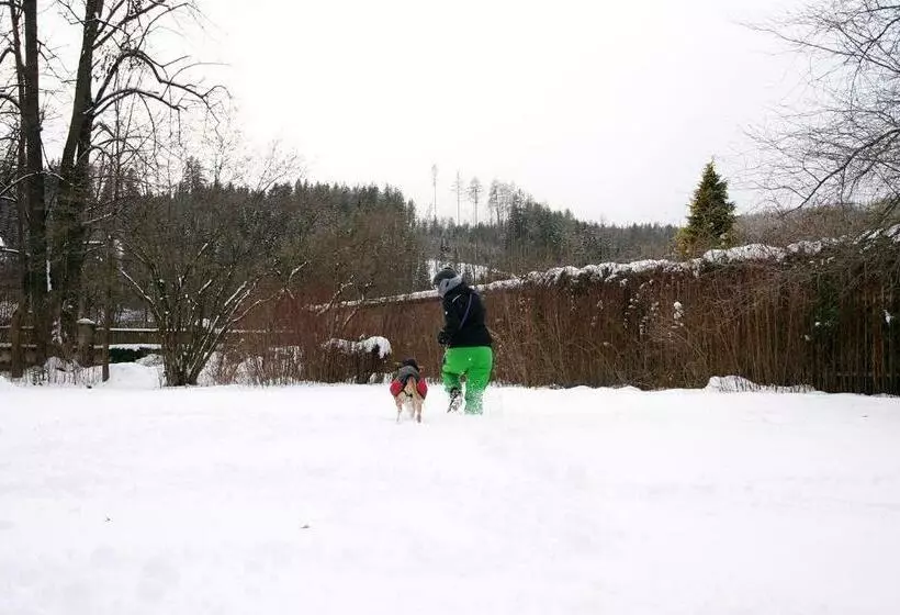 Bed and Breakfast Glögglhof