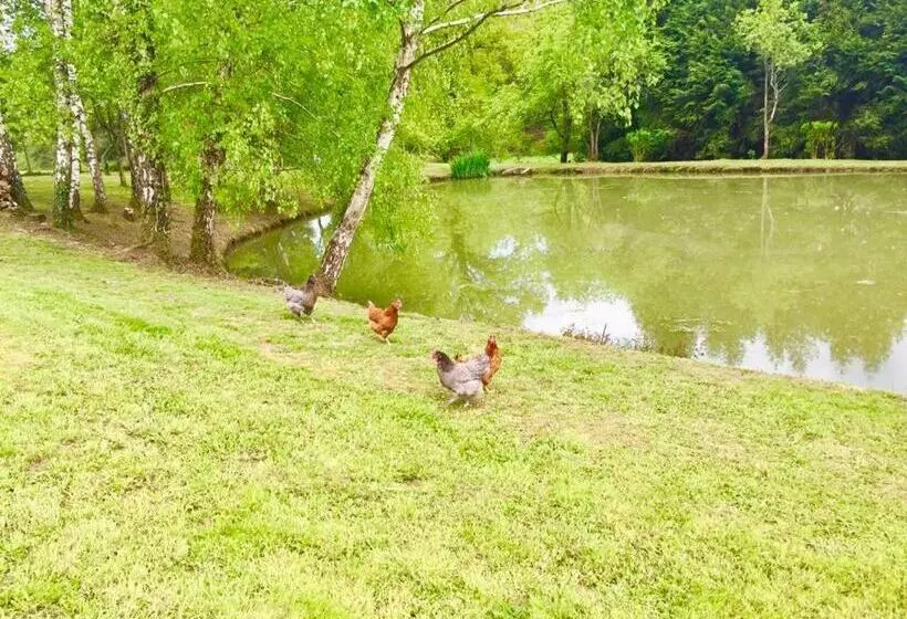 Aamiaismajoitus (B&B) La Maison D Hera