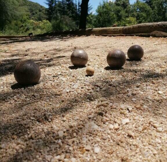 ベッドアンドブレックファースト Pura Vida