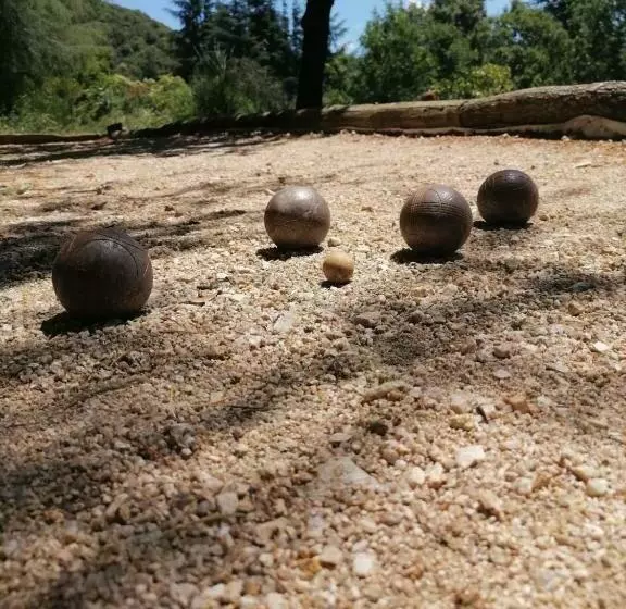 ベッドアンドブレックファースト Pura Vida