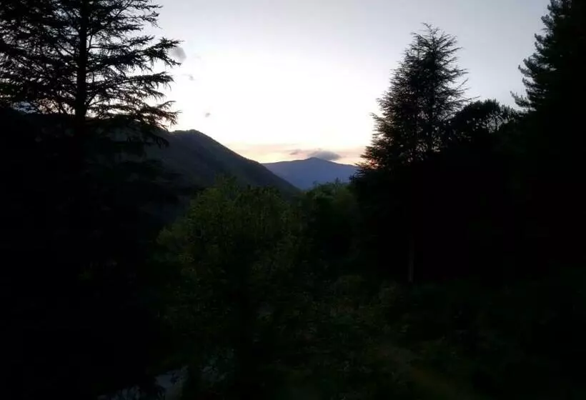 ベッドアンドブレックファースト Pura Vida