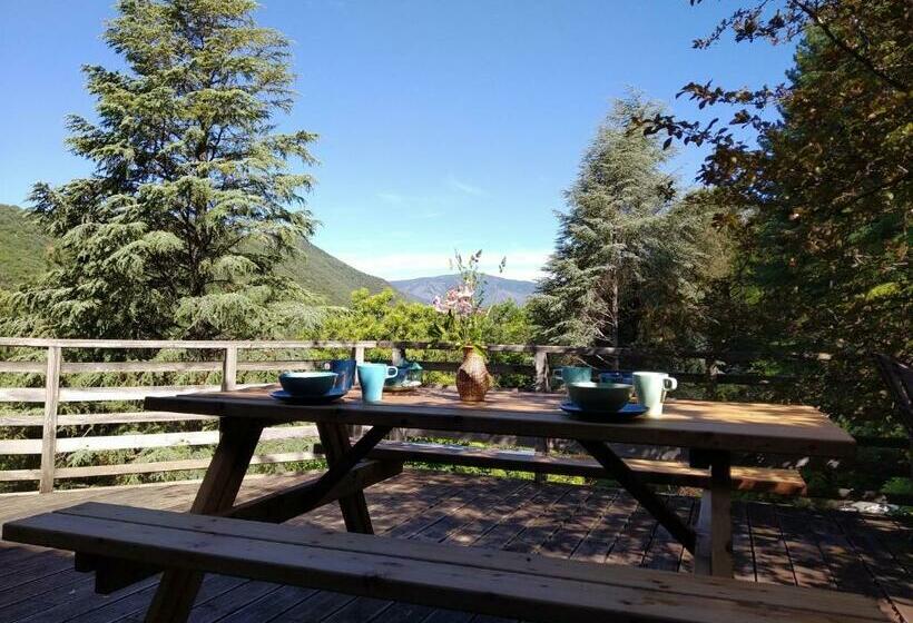 ベッドアンドブレックファースト Pura Vida