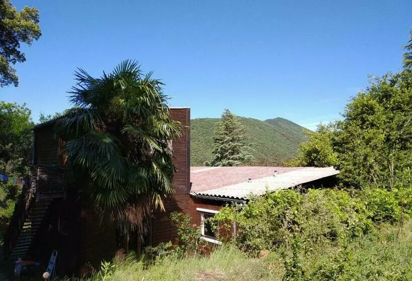 ベッドアンドブレックファースト Pura Vida