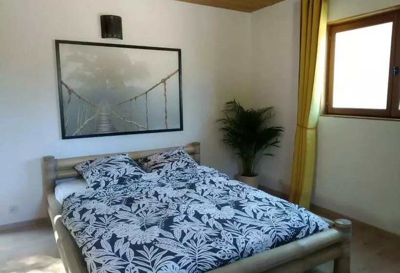 ベッドアンドブレックファースト Pura Vida