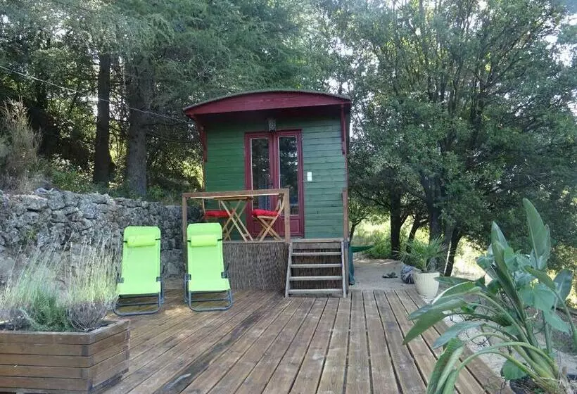 ベッドアンドブレックファースト Pura Vida