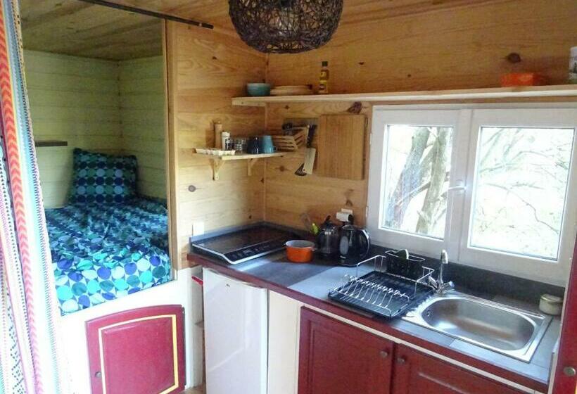 ベッドアンドブレックファースト Pura Vida