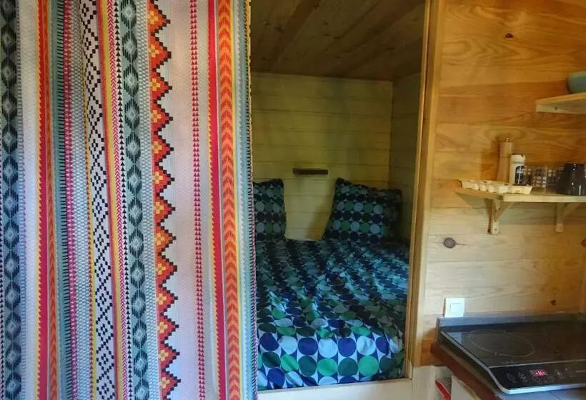 ベッドアンドブレックファースト Pura Vida