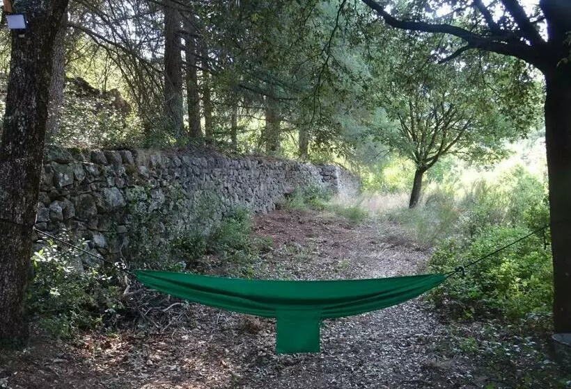 ベッドアンドブレックファースト Pura Vida