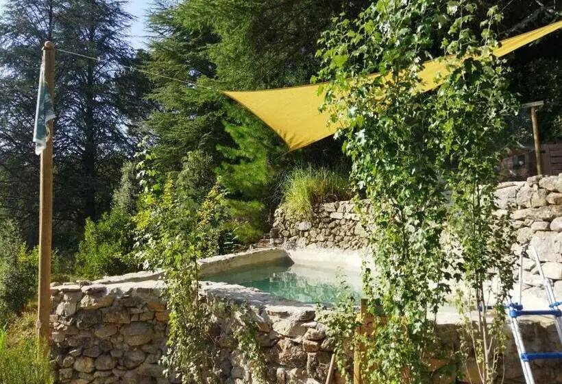 ベッドアンドブレックファースト Pura Vida