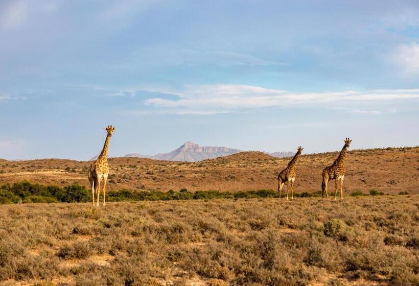 Hotelli Kransplaas   Springbok Cottage