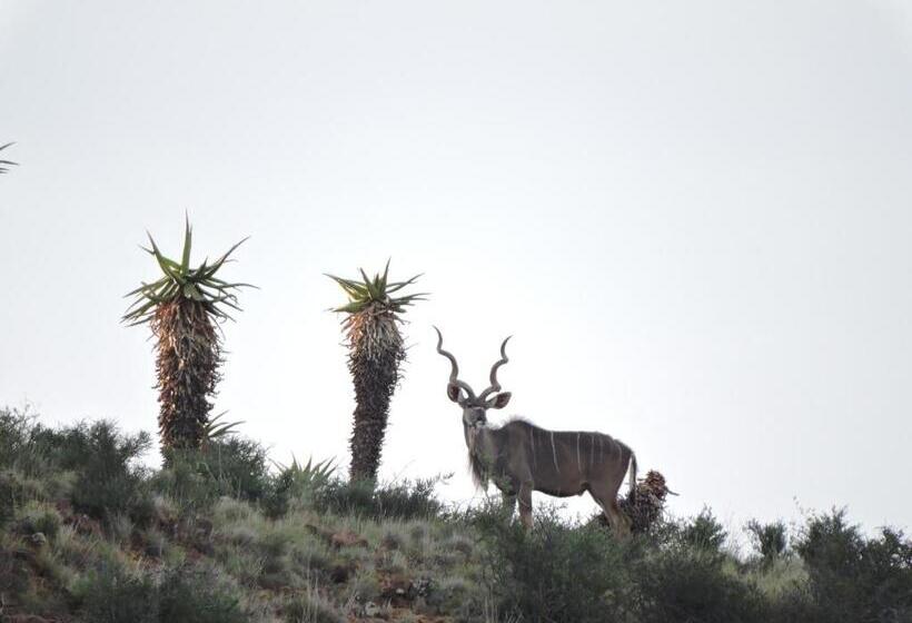 Hotelli Kransplaas   Springbok Cottage