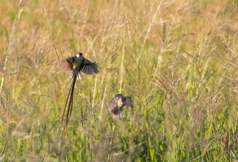 Hotelli Kransplaas   Springbok Cottage