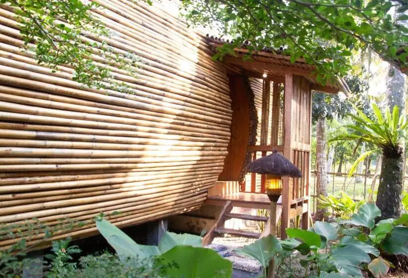 Lomakeskus Lagoona Beach Bungalows   Eco Stay