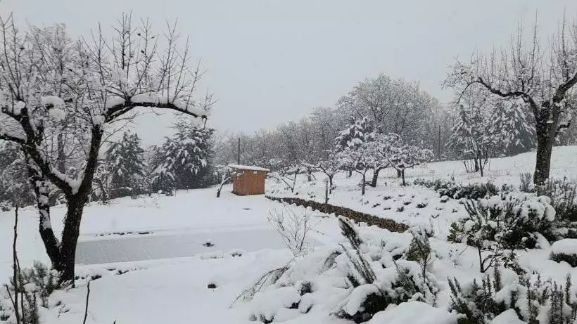 Masseria Boutique B&b