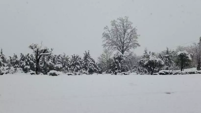 Masseria Boutique B&b