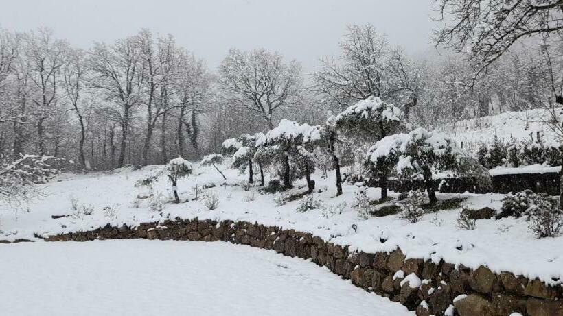 Masseria Boutique B&b