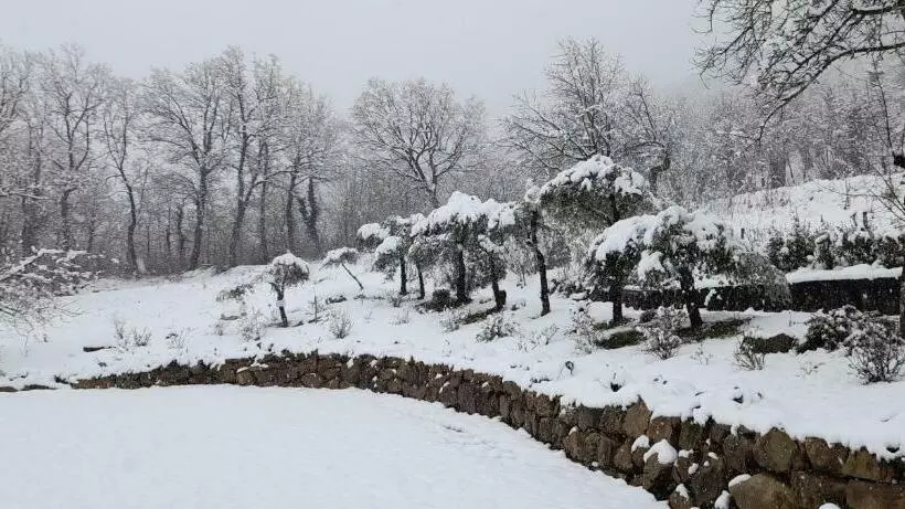 Masseria Boutique B&b