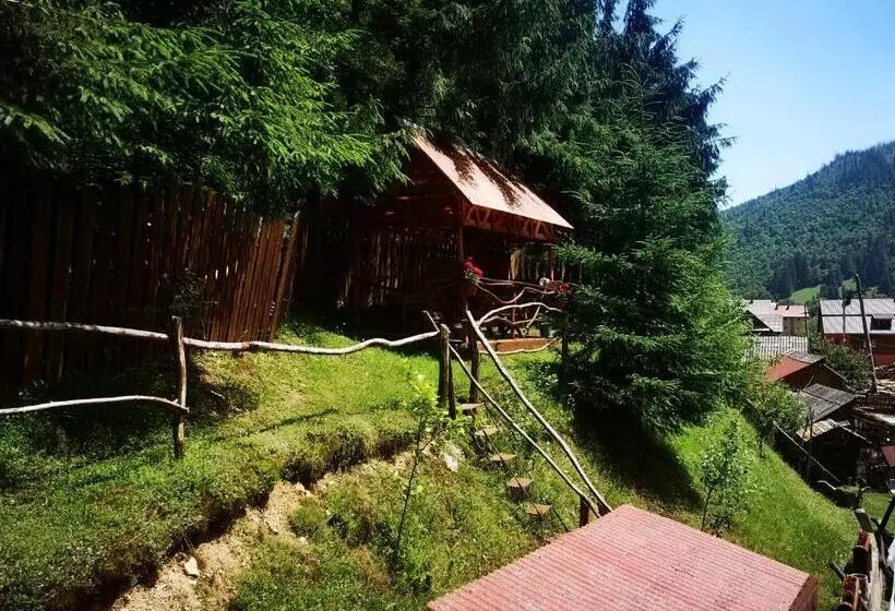 Pensiunea Cheile Albacului