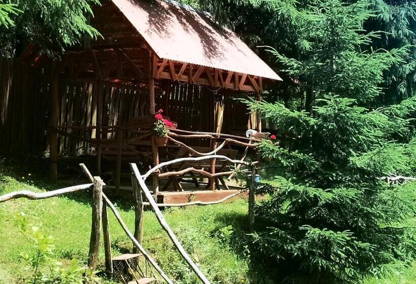 Pensiunea Cheile Albacului