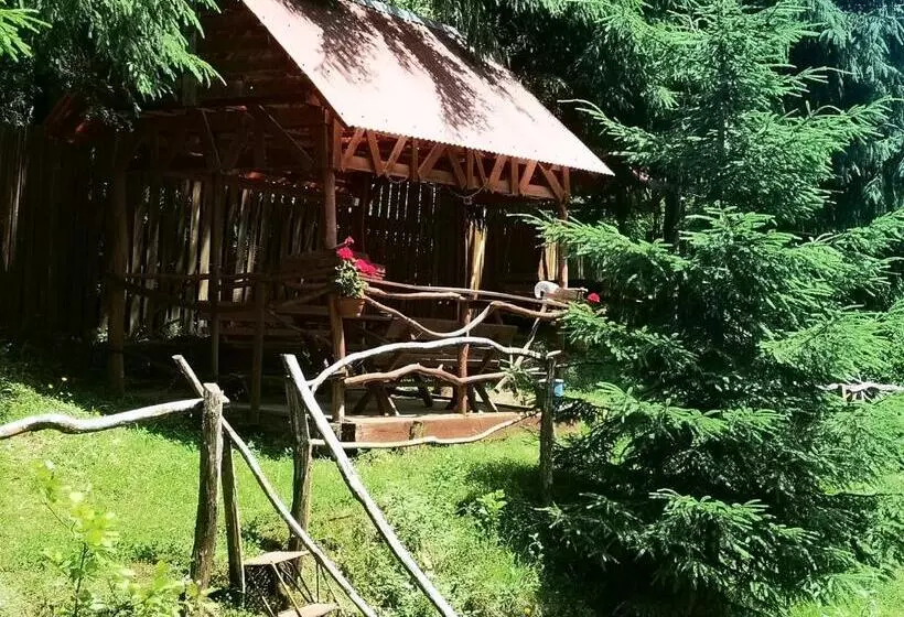 Pensiunea Cheile Albacului