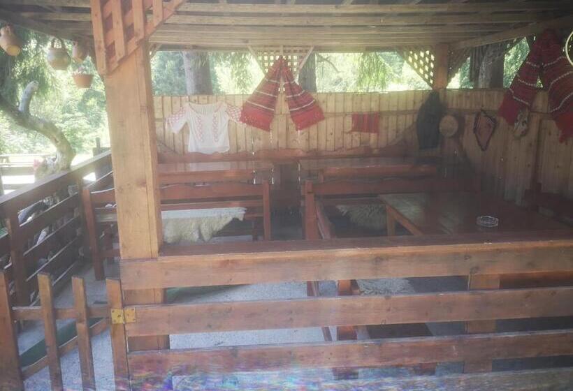 Pensiunea Cheile Albacului