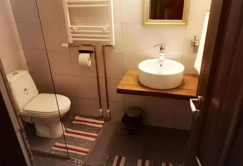 Pensiunea Cheile Albacului