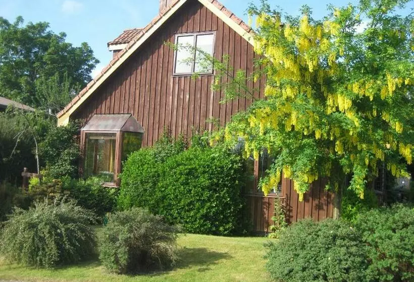 Sunflower Bed & Breakfast