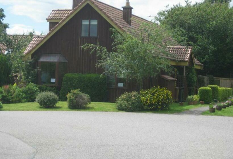 Sunflower Bed & Breakfast