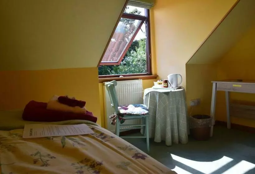 Sunflower Bed & Breakfast