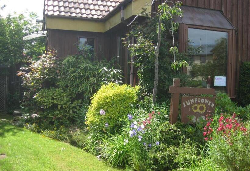 Sunflower Bed & Breakfast